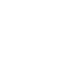 Logo Lira Seguridad Fondo Negro