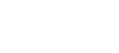 logo Lira Seguridad